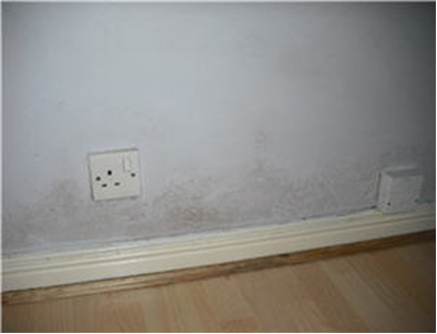 Condensation Damaged Wall